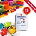 Rutile Titanium Dioxide Masterbatch Paint (R299)